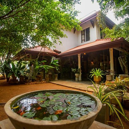 Evergreen Hotel Dambulla Exterior photo
