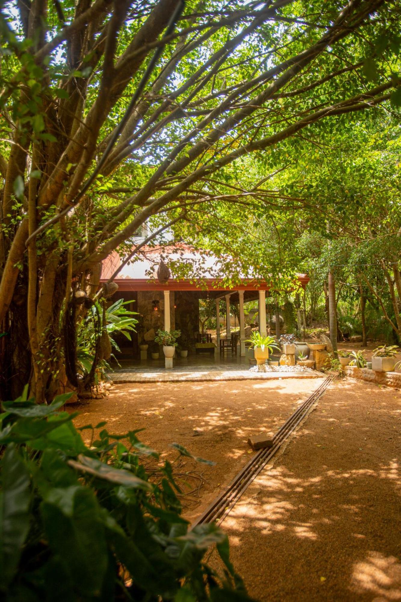 Evergreen Hotel Dambulla Exterior photo